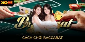 Cách chơi baccarat