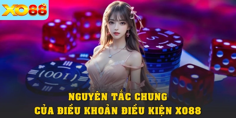 Nguyên tắc chung của điều khoản điều kiện XO88